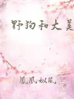 野狗和大美人