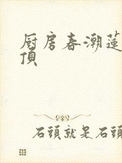 厨房春潮莲花坐顶