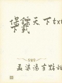 保镖天下txt下载