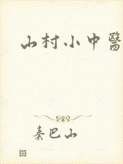山村小中医