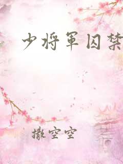 少将军囚禁我