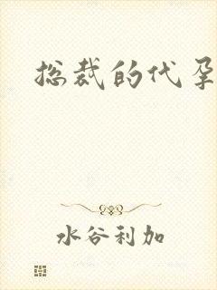 总裁的代孕女友