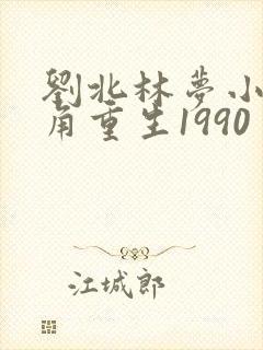 刘北林梦小说主角重生1990