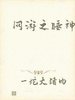 网游之睡神传说