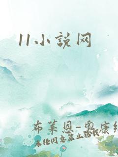 11小说网