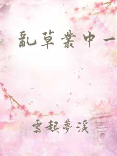 乱草丛中一杆枪