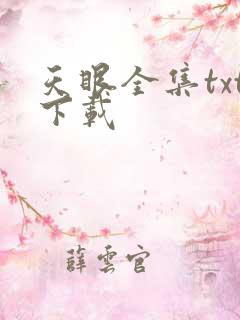天眼全集txt下载