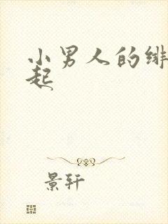 小男人的绯色崛起