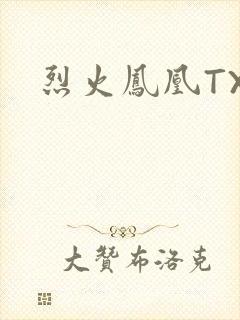烈火凤凰TXT
