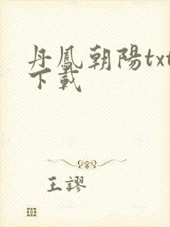 丹凤朝阳txt下载