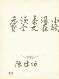 元浅秦深小说免费全文在线