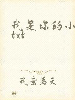 我是你的小小狗txt