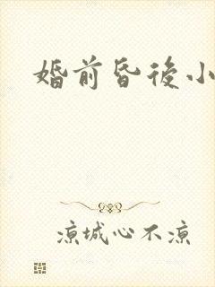 婚前昏后小说