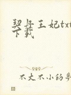 契丹王妃txt下载