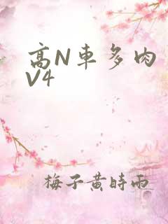 高N车多肉多1V4