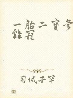 一胎二宝爹地超能宠