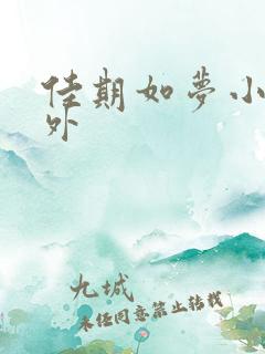 佳期如梦小说番外