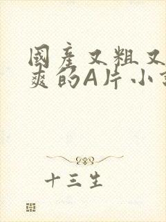 国产又粗又黄又爽的A片小说