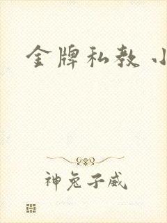 金牌私教 小说