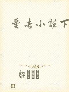 爱去小说下载网