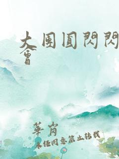 大团圆闪闪相亲会