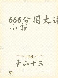 666公园大道小说