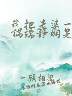 我把老婆一家一锅端静娴是什么书