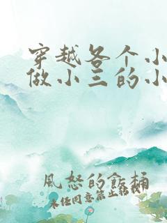 穿越各个小世界做小三的小说