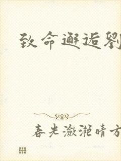 致命邂逅刘小寐