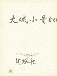 大城小爱txt