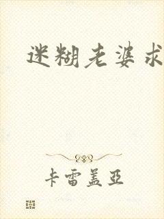 迷糊老婆求错婚