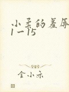 小柔的羞辱日记1一15