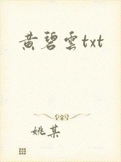 黄碧云txt