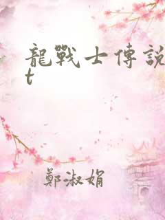龙战士传说txt