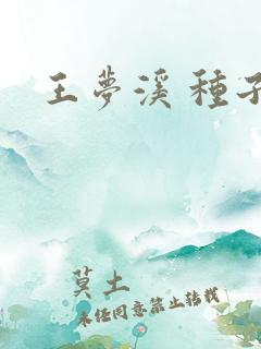 王梦溪 种子