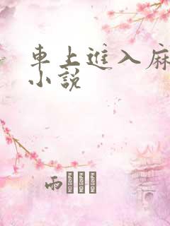 车上进入麻麻的小说