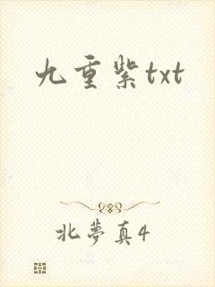 九重紫txt