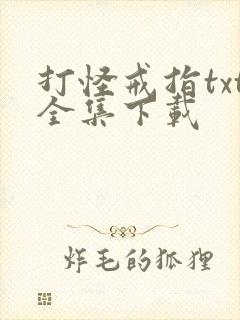 打怪戒指txt全集下载