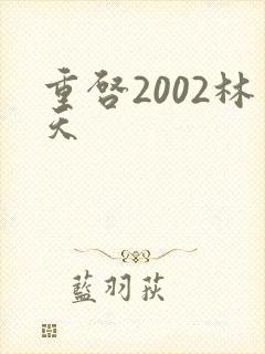 重启2002林天
