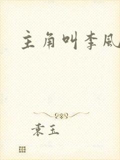 主角叫李风起
