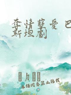 夺情孽爱 巴基斯坦剧