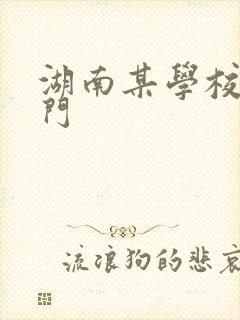 湖南某学校秋千门