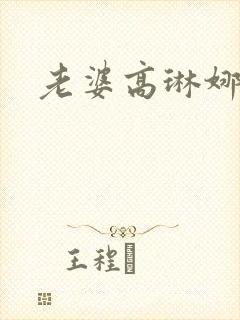 老婆高琳娜出轨