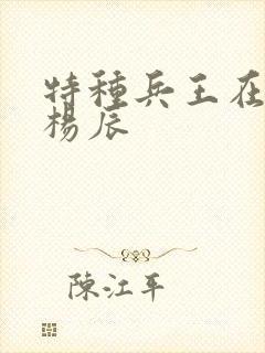 特种兵王在都市杨辰