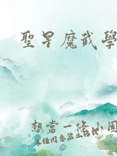 圣星魔武学院