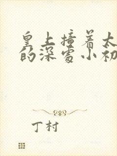 皇上撞着太子妃的深处小初