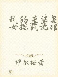 我的老婆是冰山女总载沈浪