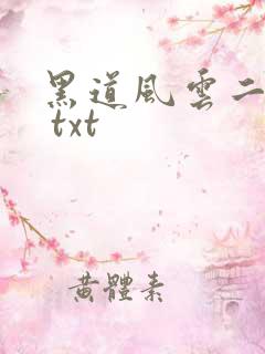 黑道风云二十年 txt