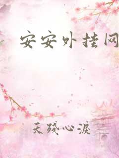 安安外挂网