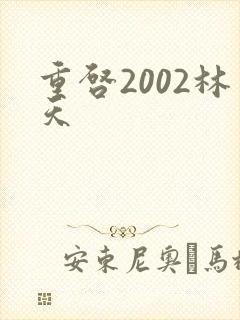 重启2002林天